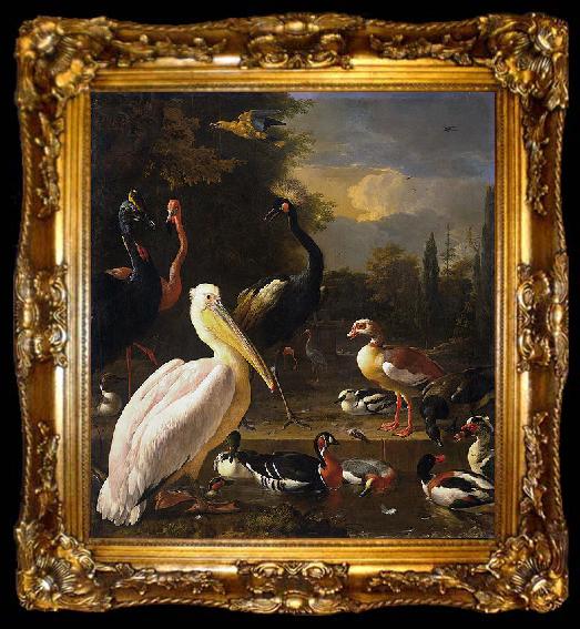 framed  HONDECOETER, Melchior d A Pelican and Other Birds Near a Pool,, ta009-2